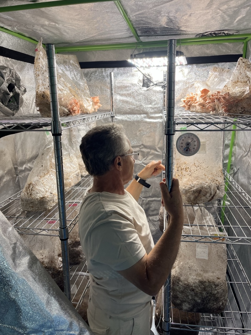Working in the greenhouse